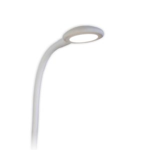 Reading Light Swan