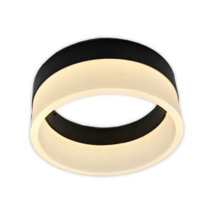 Mounted Light Fixture Circle