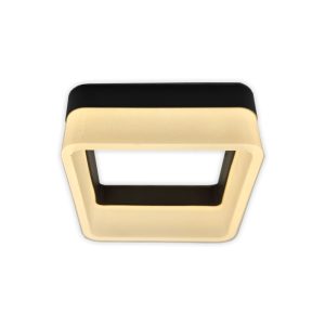 Mounted Light Fixture Square