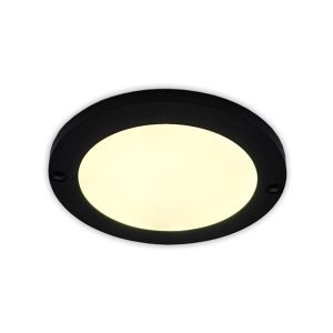 Mounted Light Fixture R80