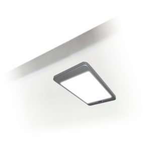 Mounted Light Haled+